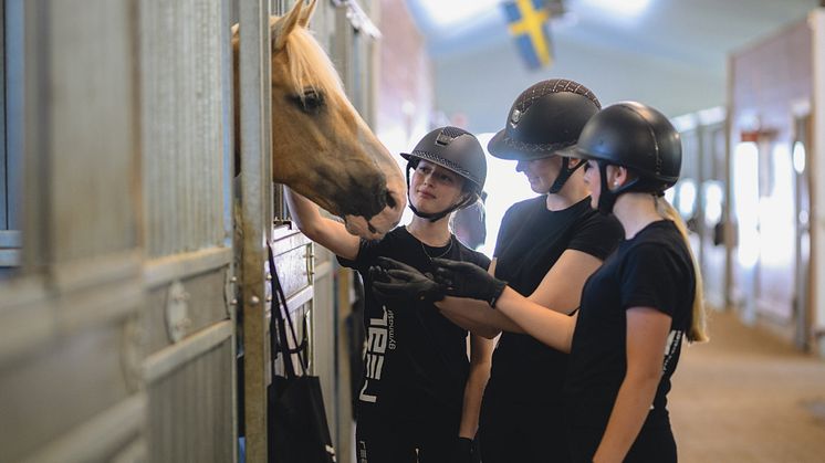 Elever på Realgymnasiet medverkar i forskningsprojektets del 1 av 3 om bett och bettlöst vid ridning. 