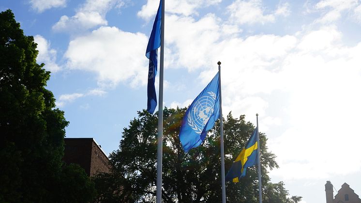 Den 29 maj är Veterandagen, som är en allmän flaggdag i Sverige.
