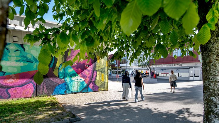 Torget på Hässleholmen. Foto: Anna Sigge. 