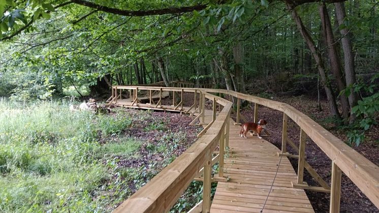 Pressinbjudan: Nu ska Kamrastigen vid Järnavik naturreservat översvämmas