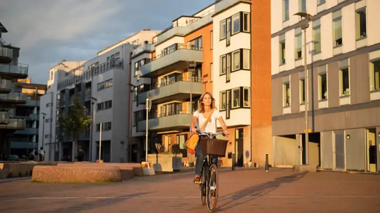 Tillstånd och trender 2025 – ny rapport om utvecklingen i regionerna