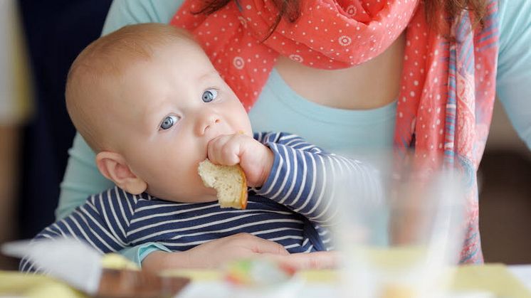 11499851-baby-boy-having-piece-of-bread.jpg