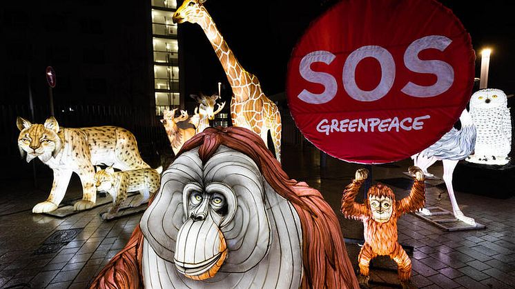 Greenpeace Protest mit leuchtenden Tiere auf dem Platz der Vereinten Nationen in Bonn, 2022
