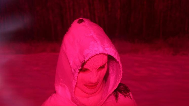 Pussy Riot till Stockholm Pride