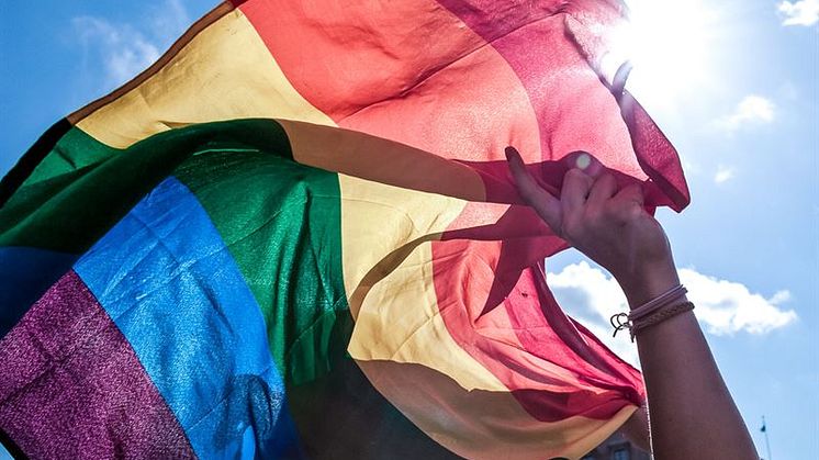 flagga.jpg