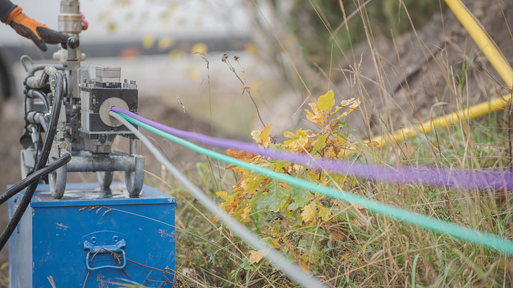 9960 nya hushåll anslutna till GlobalConnects fiber under tredje kvartalet i år 
