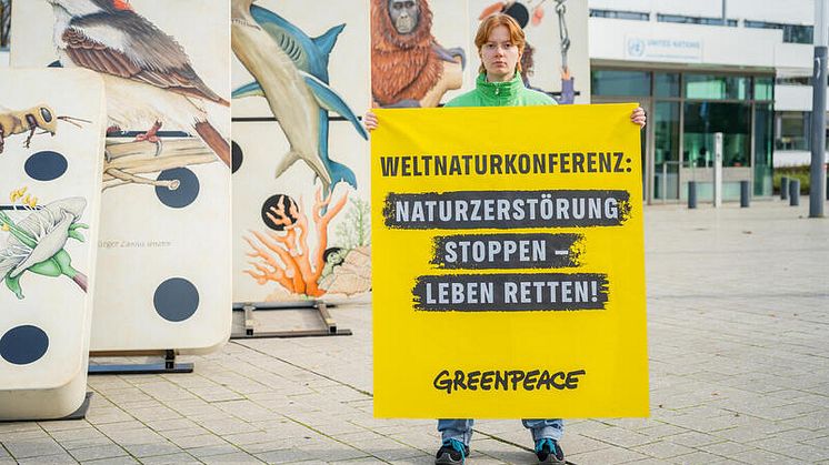 Greenpeace-Stellungnahme zur neuen Nationalen Biodiversitätsstrategie der Bundesregierung auf der Weltnaturkonferenz 