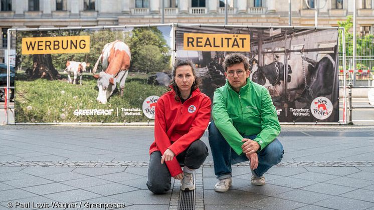 Greenpeace und Vier Pfoten fordern von Bundesländern sofortiges Verbot der Anbindehaltung