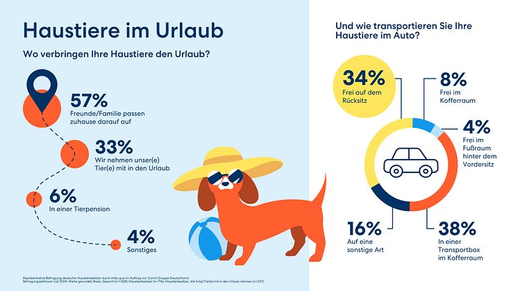 Urlaubsfahrt mit Haustieren: Viele Tiere sind im Auto nicht ausreichend gesichert 