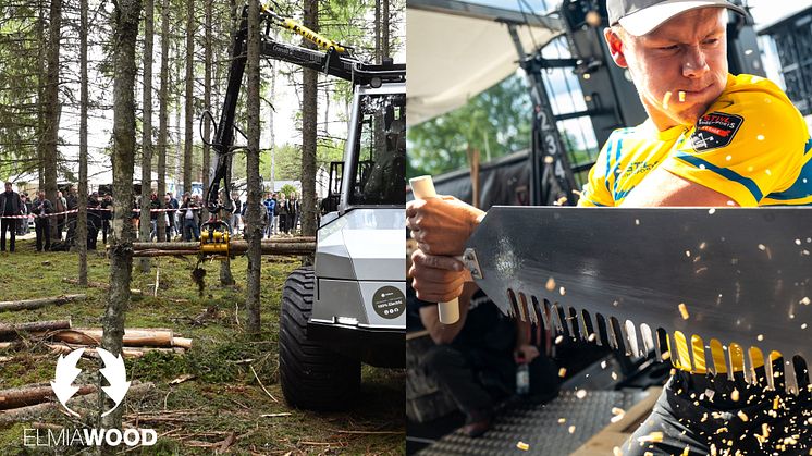 Elmia Wood 2025 - Where innovation and forestry grow