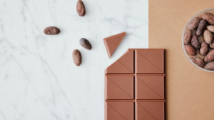Food Safety in Chocolate Production 