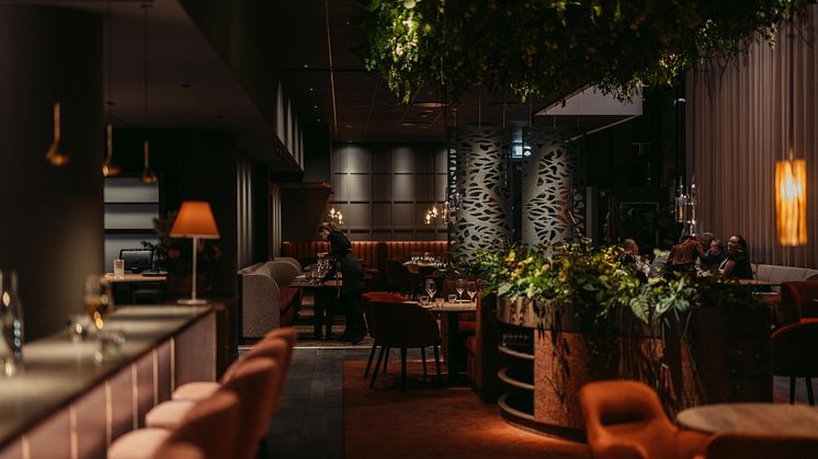 Nya Nilssons på Malmö Arena Hotel i Hyllie - restaurang, vinbar och matrum – en varm, inbjudande och personlig plats.