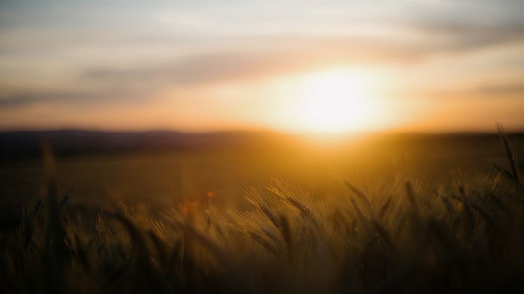 Rabbalshede Kraft expanderar i Finland
