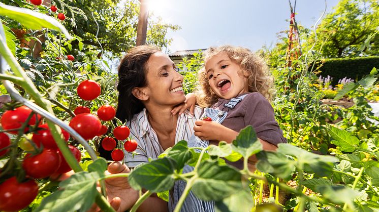 Neudorff stellt auch in diesem Jahr eine Reihe neuer Produkte vor: Von veganen Hornspänen über Nützlinge gegen Ameisen bis hin zu Cannabis-Pflegeprodukten.