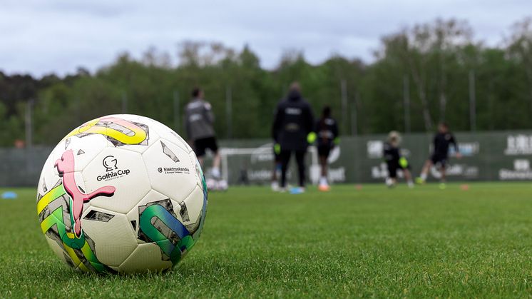 ﻿För andra året i rad är Elektroskandia Officiell Partner till Gothia Cup.