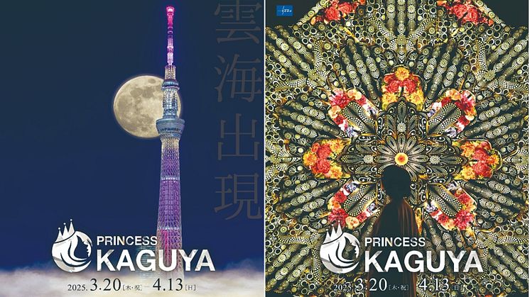 Experience the Enchanting 'PRINCESS KAGUYA' Light-Up Event in Asakusa!