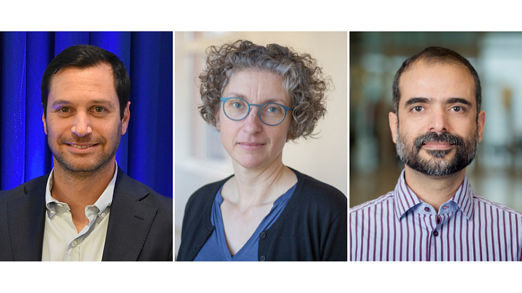 Svenska Läkaresällskapet belönar Igal Rosenstein, Anna-Maria Hultén och Adnan Noor Baloch med Lennmalms pris 2025

