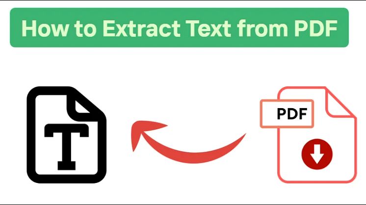 Text aus PDF extrahieren