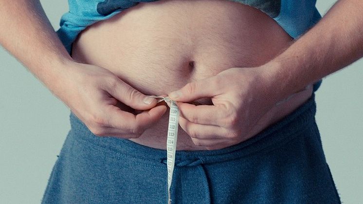 Lovande ny behandlingsstrategi för typ 2-diabetes. Foto: Pixabay