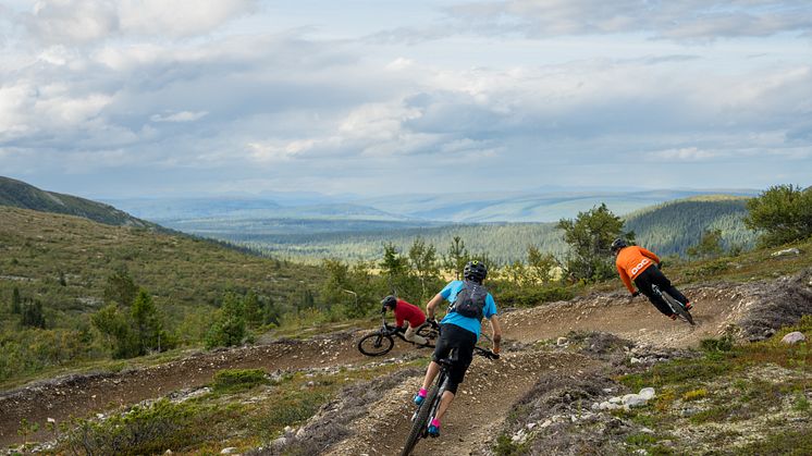 Cykling i Lofsdalens Fjällpark