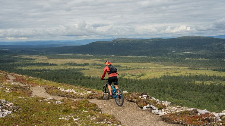 FotoEmmaEdejern_RedAnetteAndersson_03092_HIGHRES.jpg