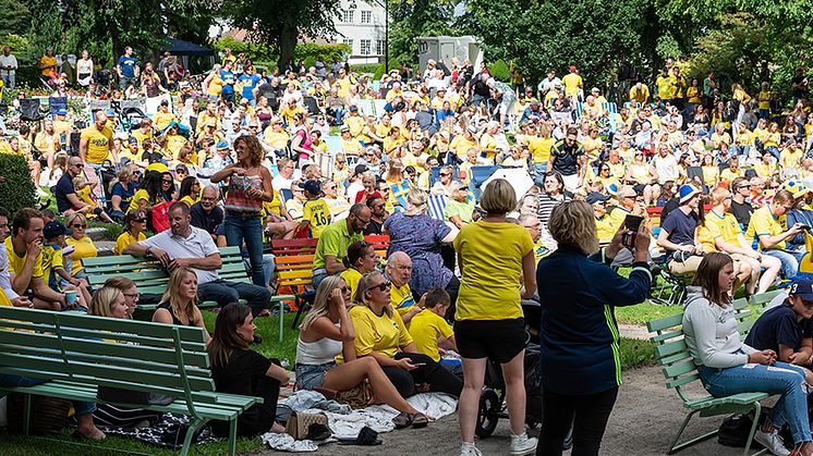 Bilden visar många fotbollssupportrar sittandes och ståendes i Katrineholms stadspark 