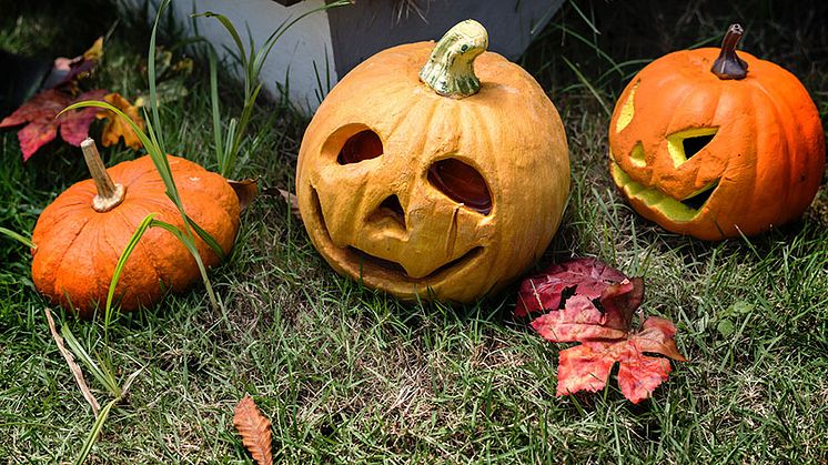 hallbar_halloweenpumpa