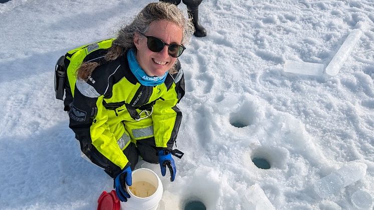 Collecting under-ice algae