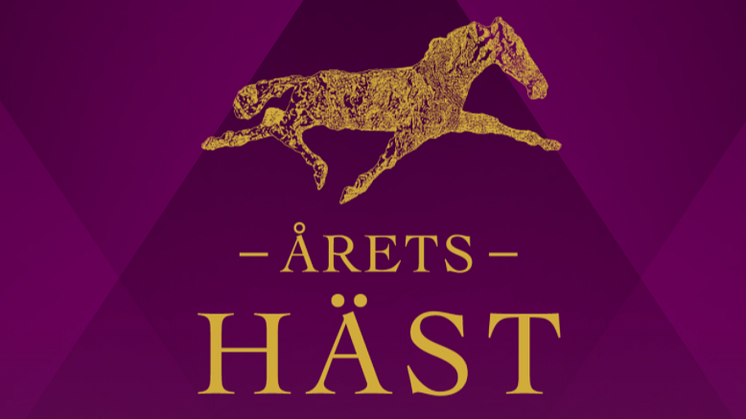 Rösta på Årets Häst® – här är de nominerade