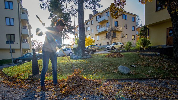 Städdag – kan vi ta ut en straffavgift av medlem som inte deltar?
