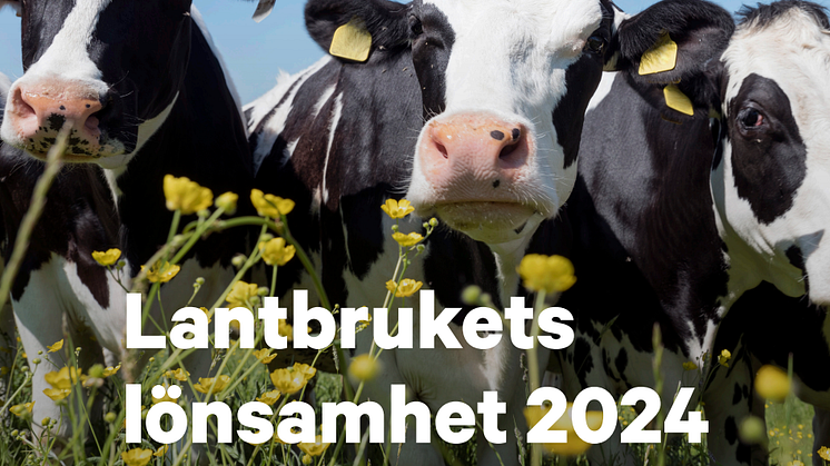 Förbättrad lönsamhet för lantbruket inom mjölk och gris - fortsatt tufft för nöt och växtodling