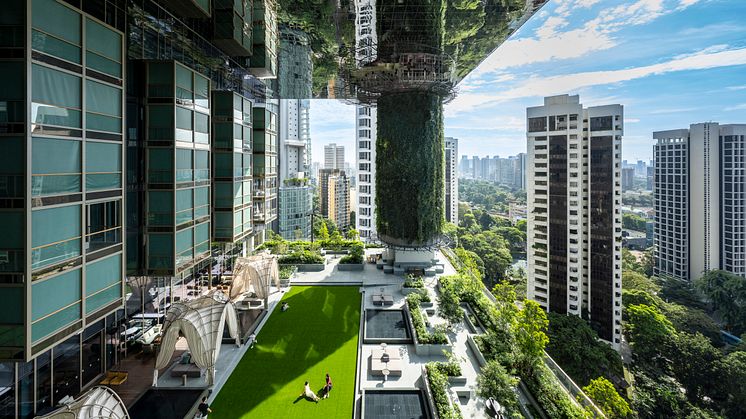 Pan Pacific Orchard_Garden Terrace 1_Day  (Photographed by Darren Soh (4).jpg