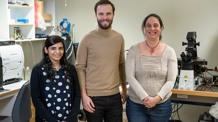 Fouzia Bano, Staff scientist at Department of Clinical Microbiology, Dario Conca, Postdoctoral fellow at Department of Clinical Microbiology and Marta Bally, Associate professor at Department of Clinical Microbiology.
