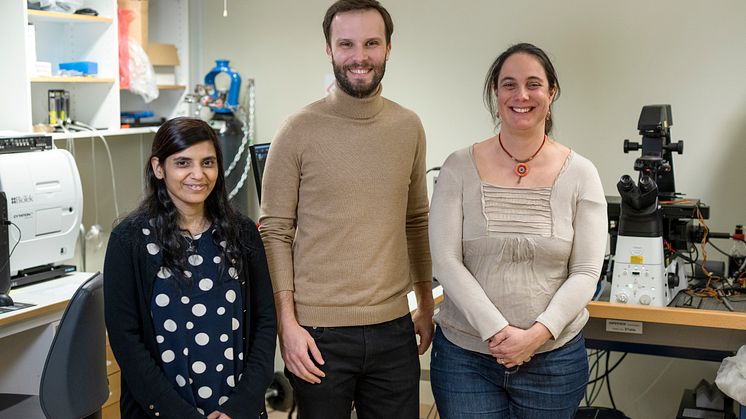 Fouzia Bano, staff scientist vid Institutionen för klinisk mikrobiologi, Dario Conca, postdoktor vid Institutionen för klinisk mikrobiologi och Marta Bally, universitetslektor vid Institutionen för klinisk mikrobiologi.