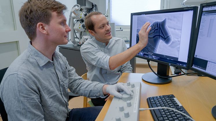 Konststudenten och konstnären Erik Olof Wiklund och forskaren Nils Hauff vid Umeå Centre for Electron Microscopy, UCEM, har han skapat världens minsta dalahäst.