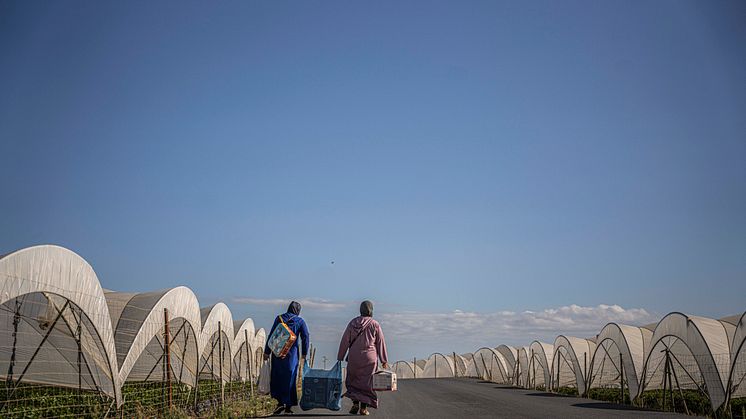 Marockanska arbetare med sina inköp på en väg i Huelva, Spanien. Foto: Pablo Tosco / Oxfam Intermón