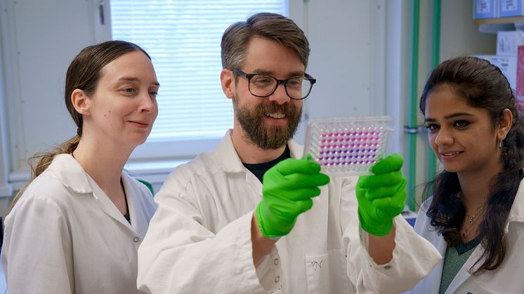 Magnus Ölander, postdoc in the Sixtlab, sharing exciting findings from an antibiotic discovery project with labhead Barbara Sixt and colleague Aakriti Singh. Image: Mattias Pettersson