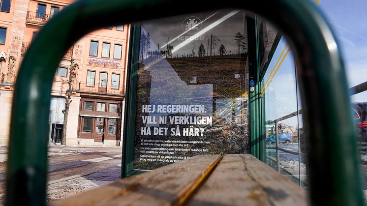 En av Icebugs uppmärksammade kampanjer under 2024, där man vände sig direkt till Regeringen i frågan om skyddet av svenska gammelskogar. Bild: Icebug. 