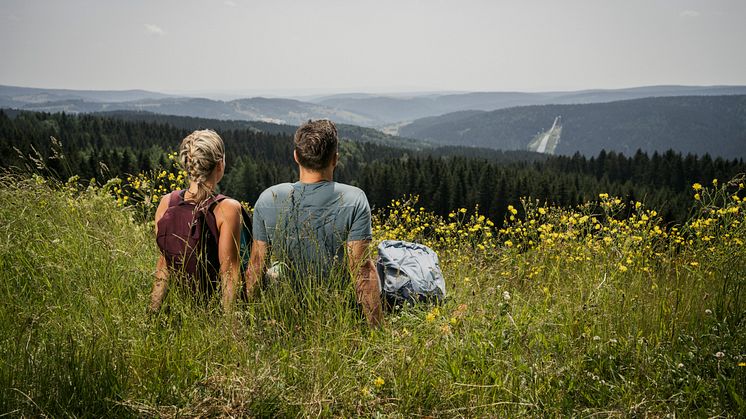 Der Kammweg Erzgebirge-Vogtland startet in seine 15. Wandersaison. (Foto: TVV/Dirk Rückschloß)