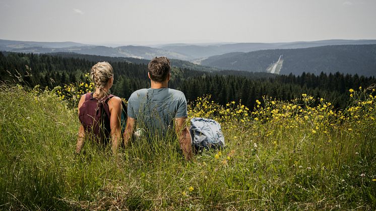 Ruhe genießen - vom Alltag abschalten - Wandern auf dem Kammweg Erzgebirge-Vogtland (Foto: TVV/Dirk Rückschloß)