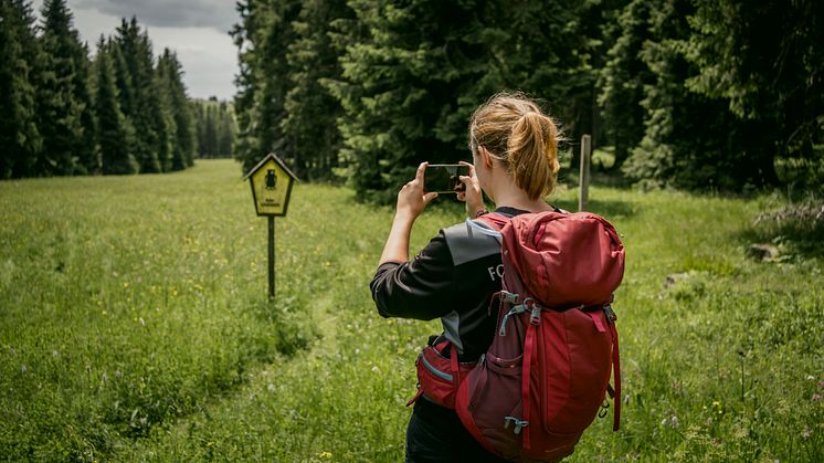 Tourentester für Wanderwege im Erzgebirge gesucht (Foto: TVE/Dirk Rückschloß)