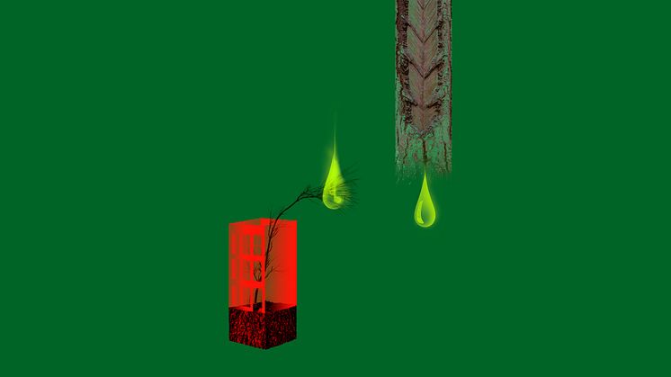Turpentine_tree_Goldin+Senneby_9x16.jpg