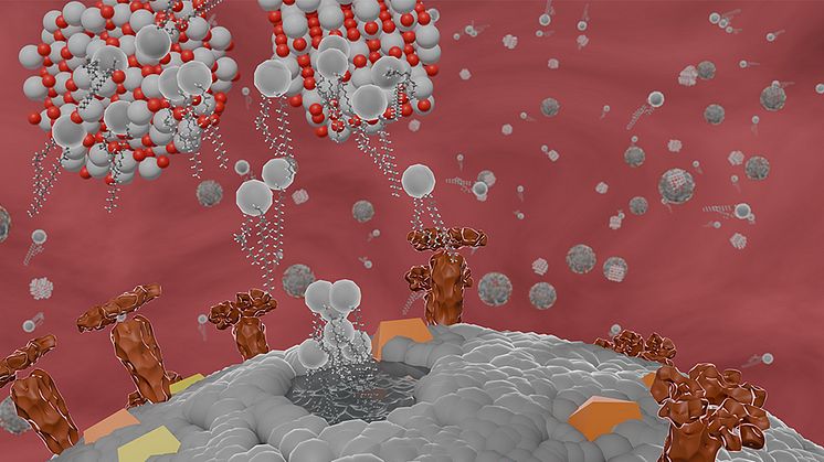 Kessler-antiviral-960.jpg