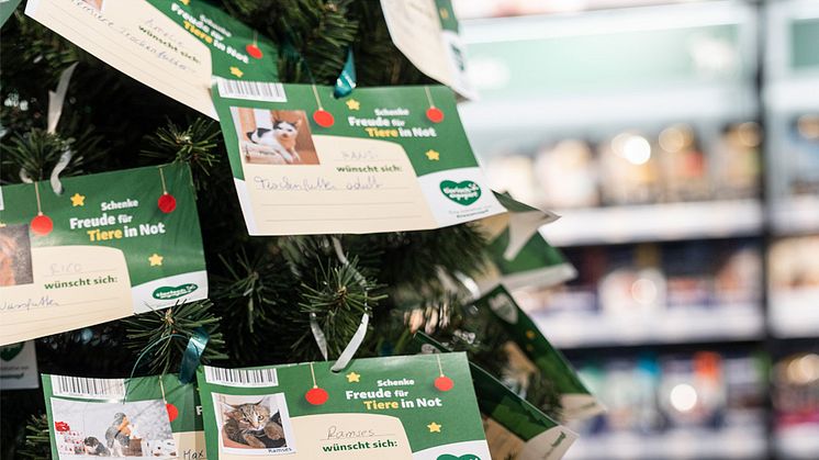 Tierisch engagierte Weihnachten: Fressnapf-Kund:innen helfen Tieren in Not