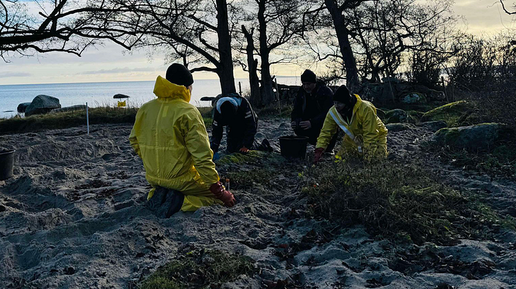 Vinteruppehåll väntar för oljesaneringen