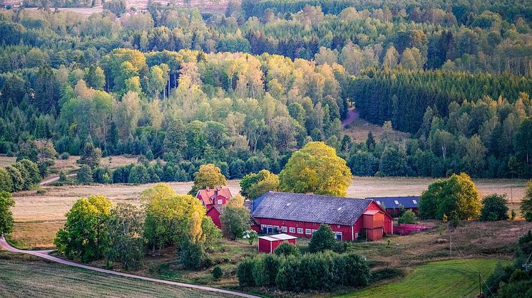 Marknaden för jord- och skogsfastigheter återhämtar sig