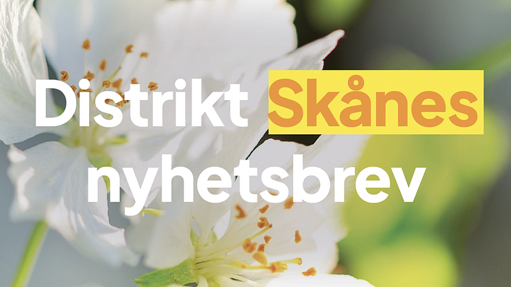 SD Skåne nyhetsbrev september 2024