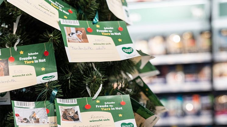 Un Noël " engagés pour les animaux " : Les clients de Fressnapf aident les animaux en détresse