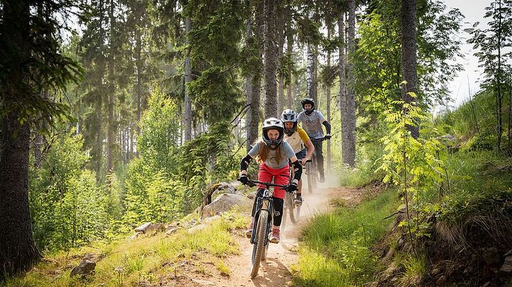 Förbättrade cykelleder inför sommarsäsongen – premiär den 21 juni