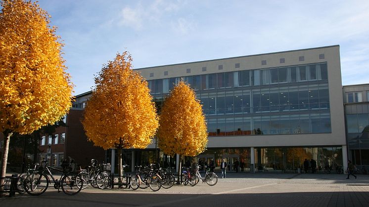 Verksamhetsförändringar beslutade på Högskolan Väst